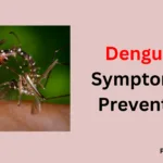 Dengue :- Symptoms & Prevention